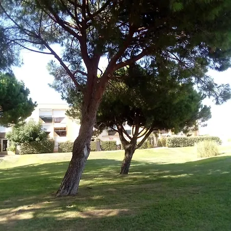 Daire Avec Balcon A Deux Pas De La *