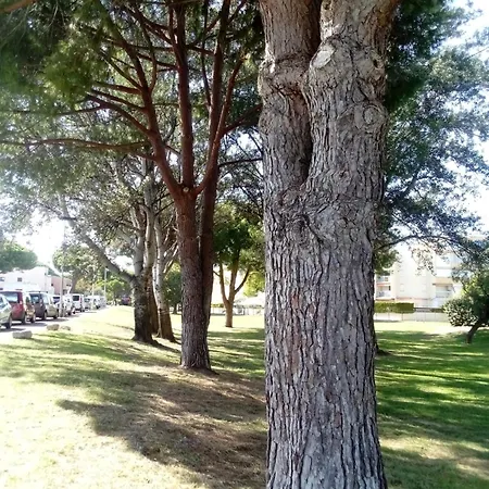 Avec Balcon A Deux Pas De La