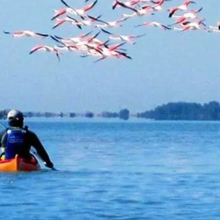 Avec Balcon A Deux Pas De La Daire Le Grau-du-Roi