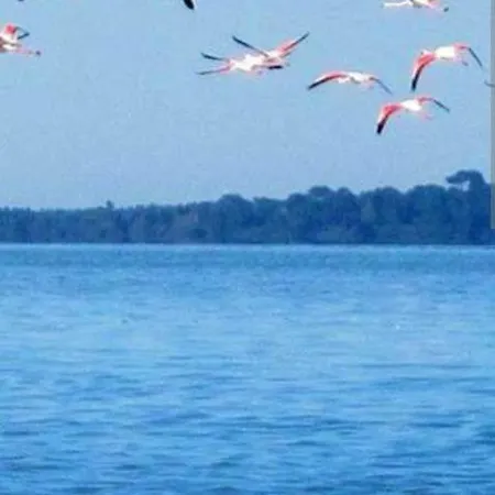 Avec Balcon A Deux Pas De La Le Grau-du-Roi