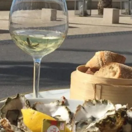 Avec Balcon A Deux Pas De La Le Grau-du-Roi