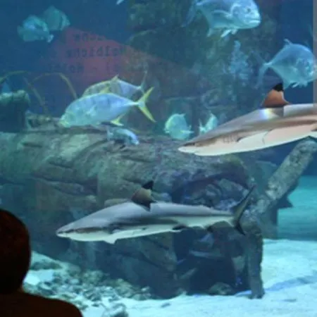 Apartment Avec Balcon A Deux Pas De La